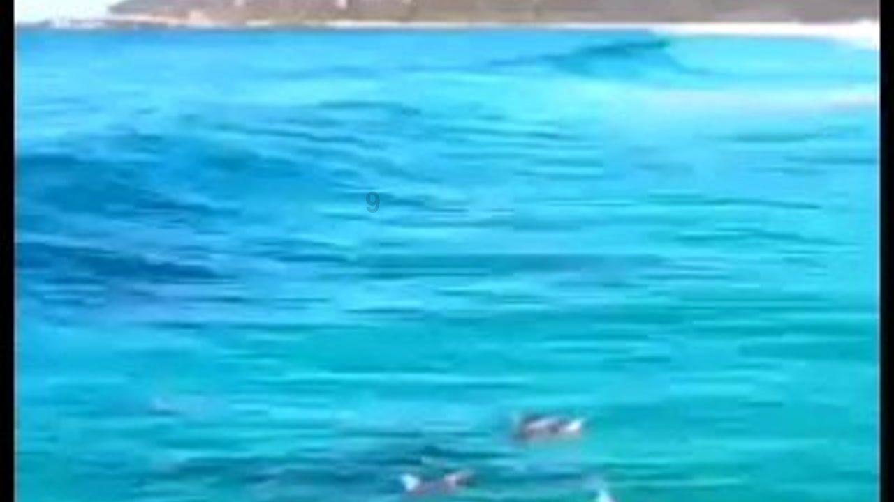交通高峰期